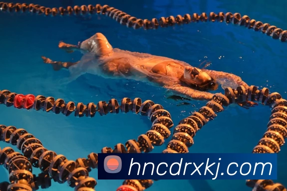 华体app官网全站App